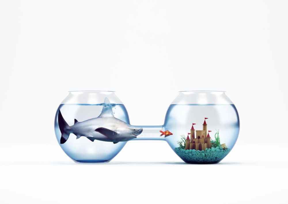 The transition to the Kingdom is too narrow for some to pass.